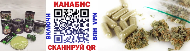 Cannafood конопля  Купить закладки  Терек 
