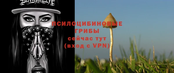 тгк Аркадак